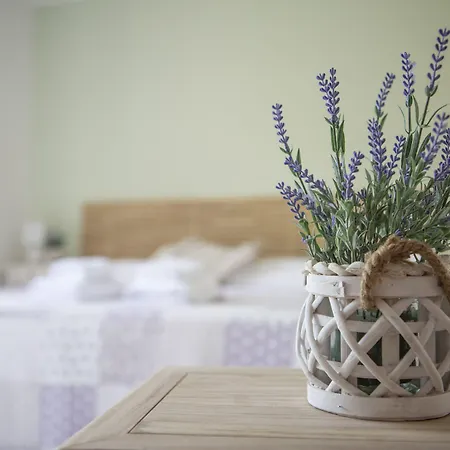 Cape House Albano Laziale